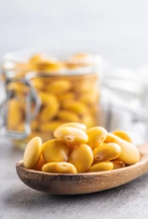 루핀콩 효능과 루핀콩 먹는법