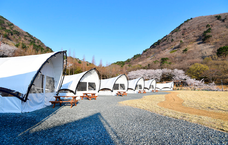 진주 월아산자연휴양림