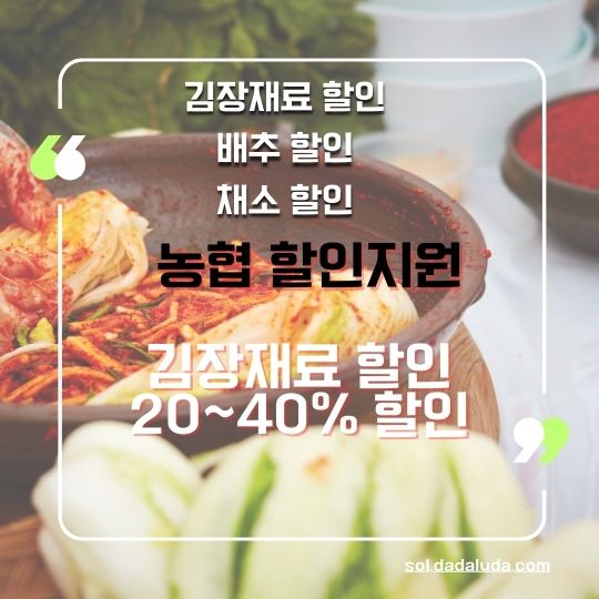 김장 재료 할인 채소 할인 배추