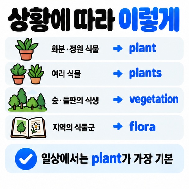 상황에 따라 plant plants vegetation flora를 고르는 방법을 보여주는 카드뉴스