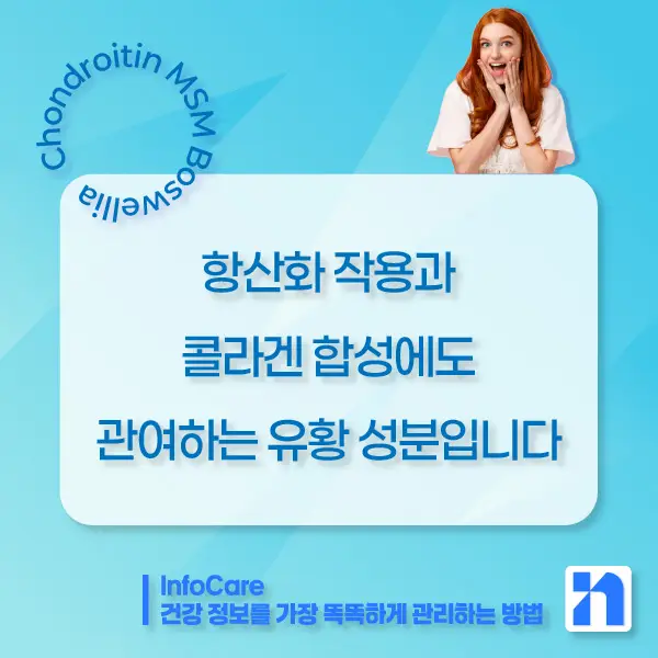 콘드로이친&amp;#44; MSM&amp;#44; 보스웰리아 조합 효능