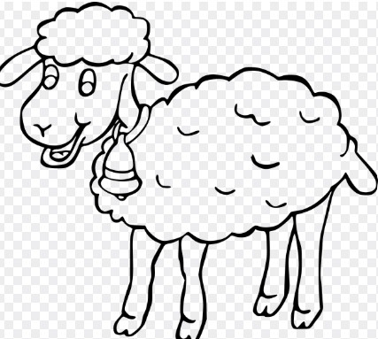 2026 양띠 신년운세 총정리 , 무료운세 사이트