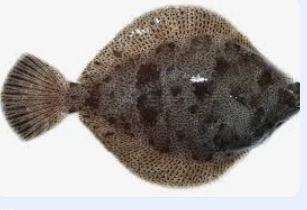 3월 제철음식 총정리: 달래, 주꾸미부터 도다리 쑥국까지 완벽 가이드