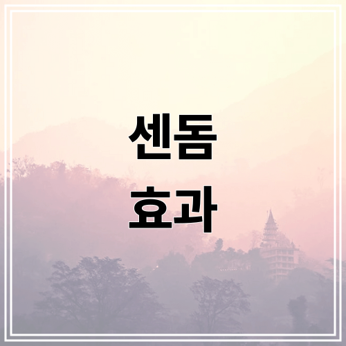 센돔 효과