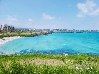 제주 함덕 맛집 추천 야경 보며 식사 가능한 곳 안내_10