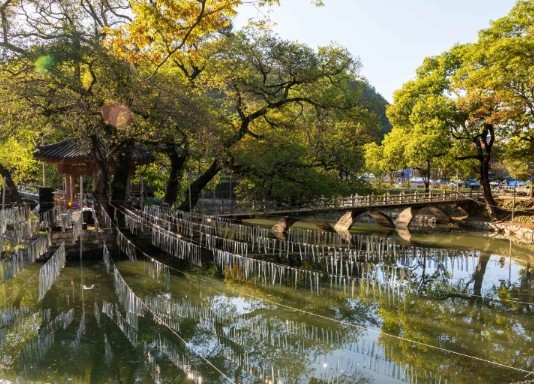 경남 여행지 추천 ❘ 함안 가볼만한 곳 베스트 10. 무진정