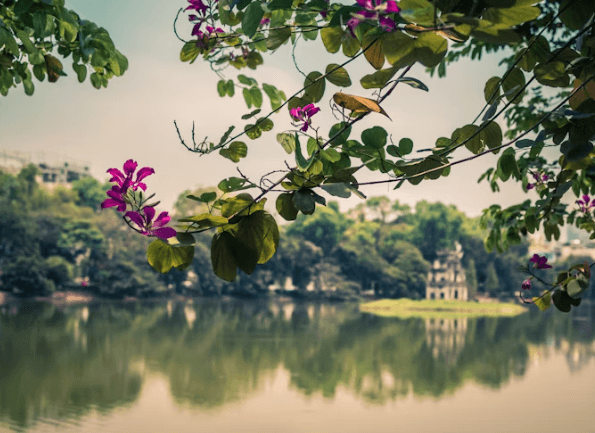 하노이 여행 완벽 가이드: 낭만과 미식의 수도