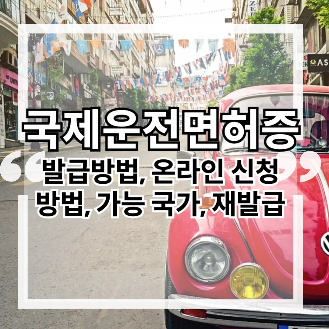 국제운전면허증의 모든 것: 발급방법, 온라인 신청방법, 가능 국가, 재발급