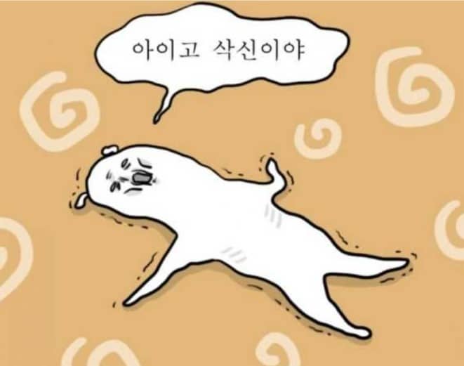 아이고 죽겠네