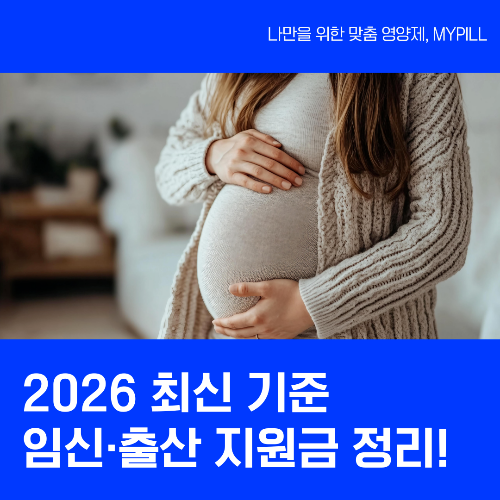 2026 임신 출산 지원 혜택