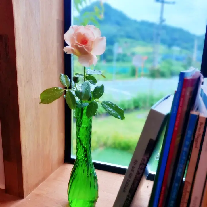 생방송오늘저녁 청주 사슴농장에서 자수공방 뜨개질 손바느질 수제청 핸드드립 카페