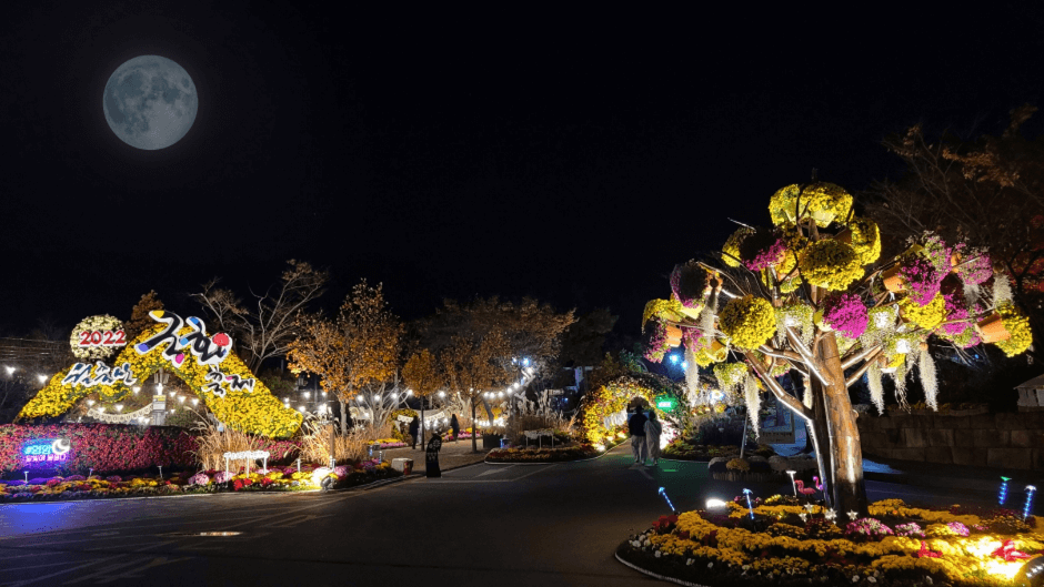 11월 축제 가볼만한 곳 베스트5