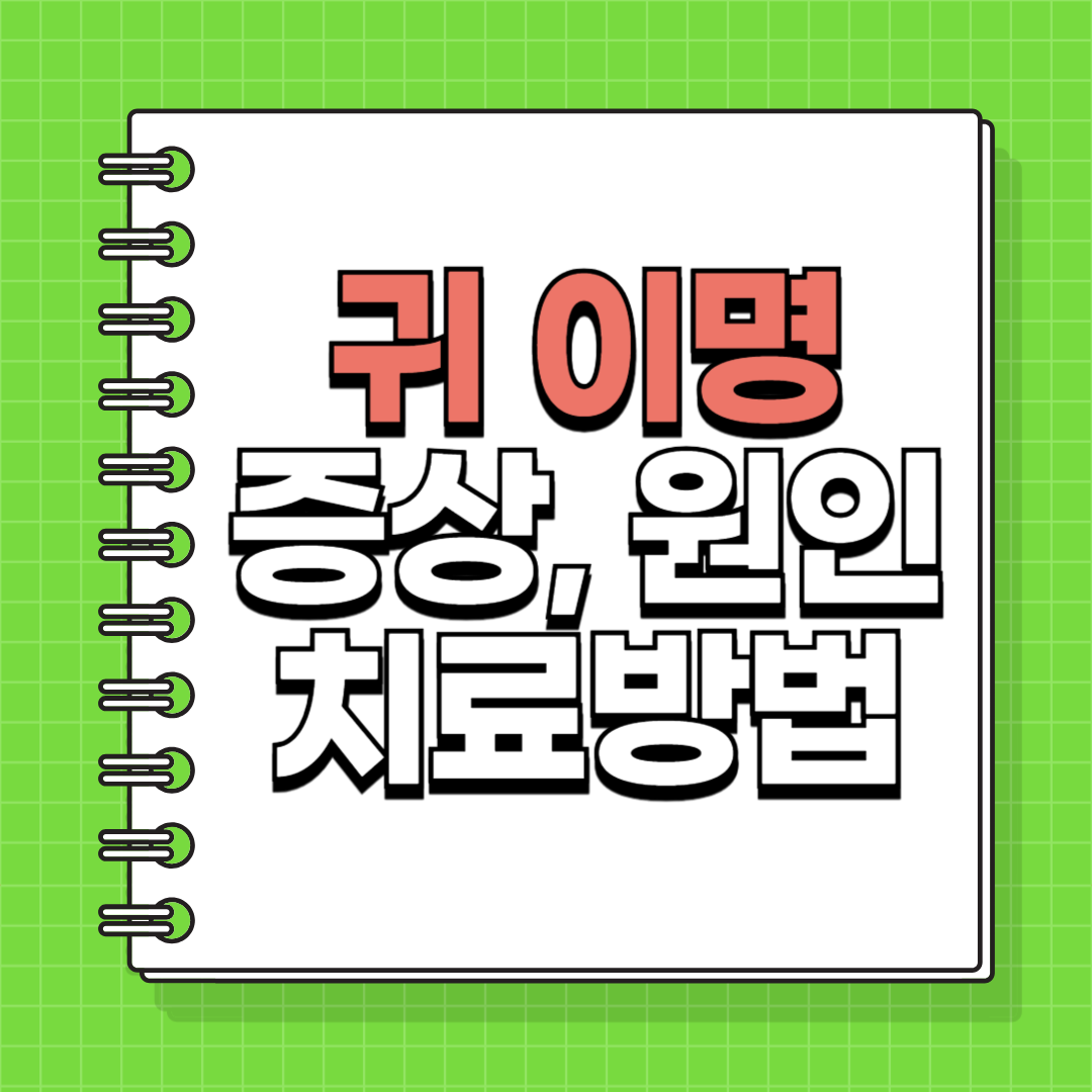 귀 이명 원인 증상 삐 어지러움 치료 방법