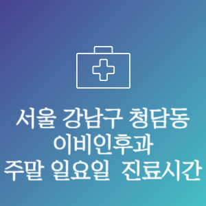 서울 강남구 청담동 이비인후과 주말 일요일 문여는 병원 진료시간