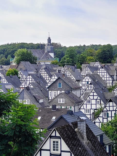 소형 주택에서 반려동물과 함께 살기 – 가능한가?