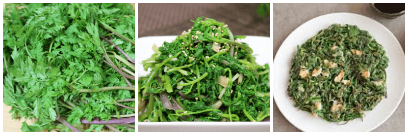 전호나물, 전호나물 무침, 전호나물전 사진