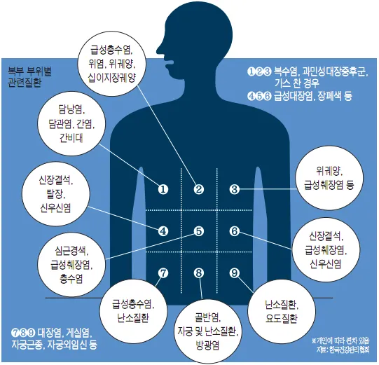 배를 콕콕 찌르는 통증의 8가지 원인 하는법 알아보기로 정리_4
