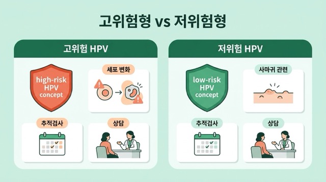 고위험 HPV와 저위험 HPV 차이