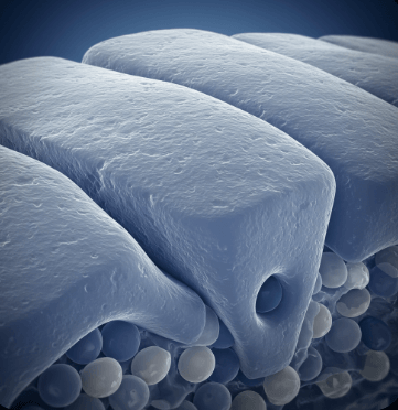 콘드로이친 효능과 부작용