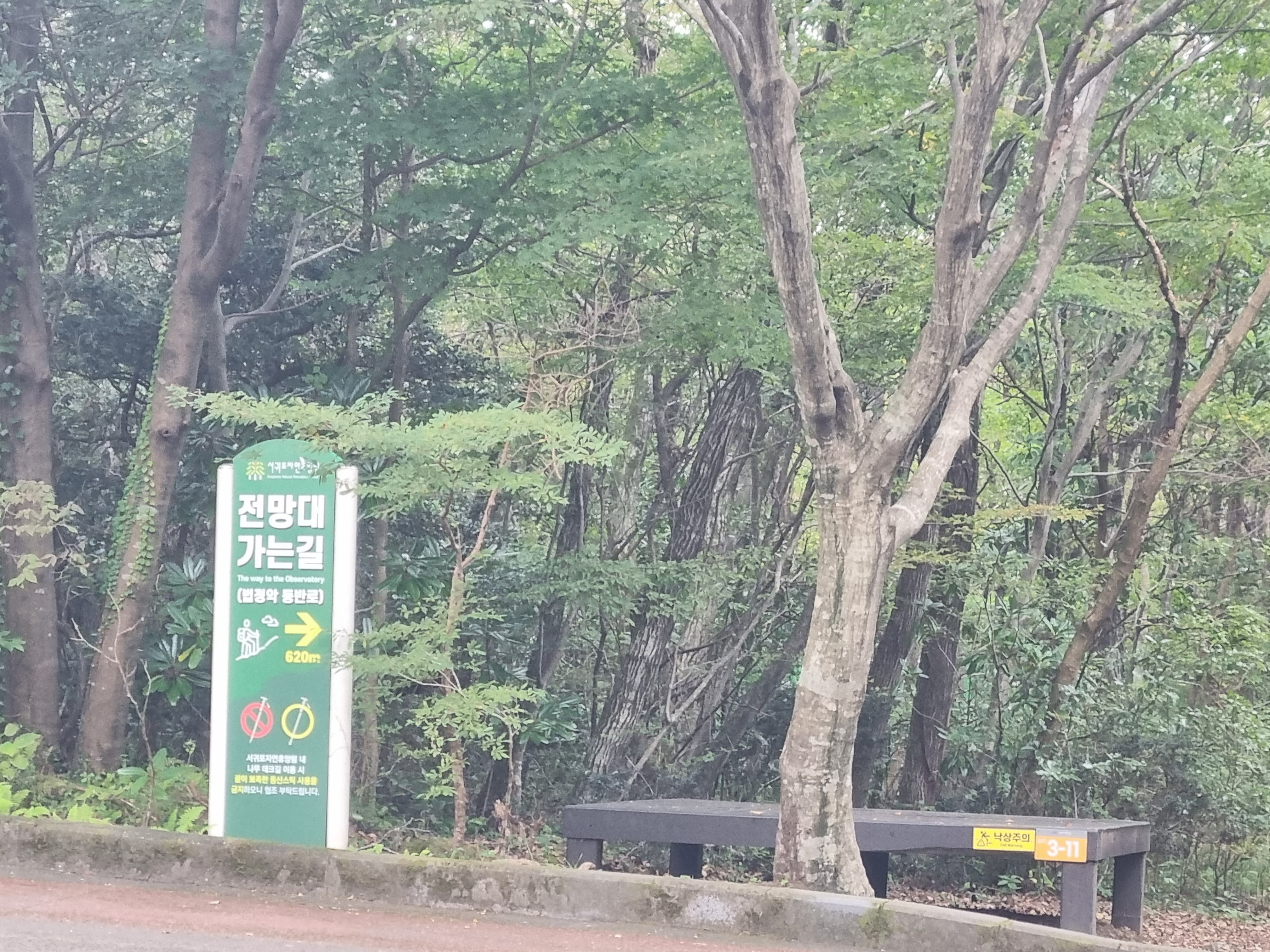 서귀포자연휴양림