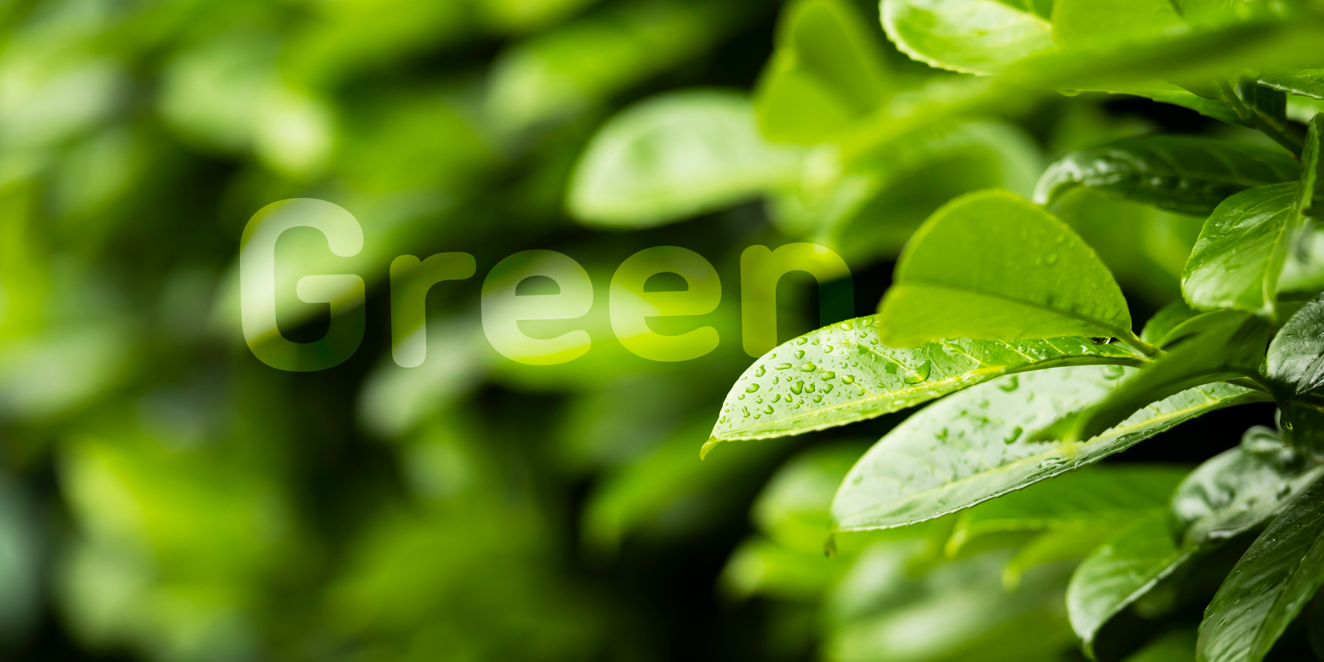 Green Color