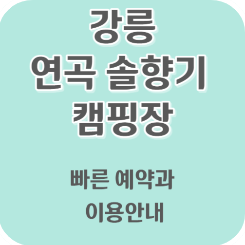 연곡 솔향기 캠핑장