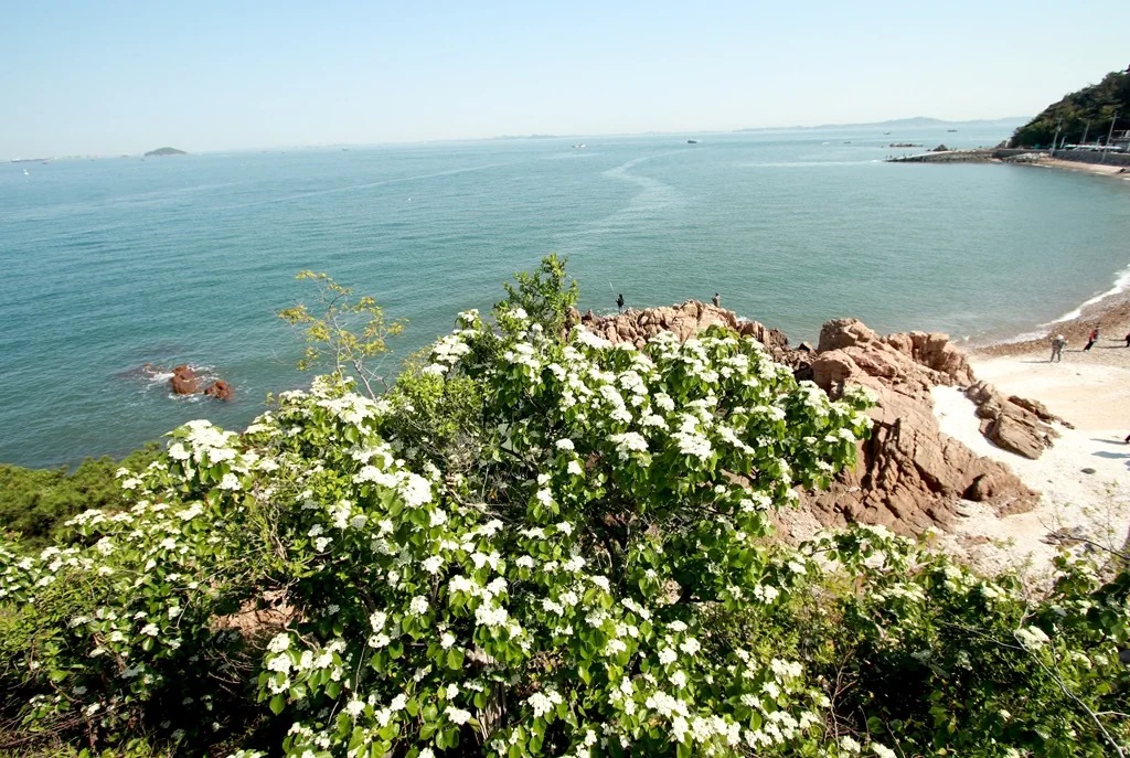 무의바다누리길 코스 중반에 위치한 고즈넉한 몽여해변.