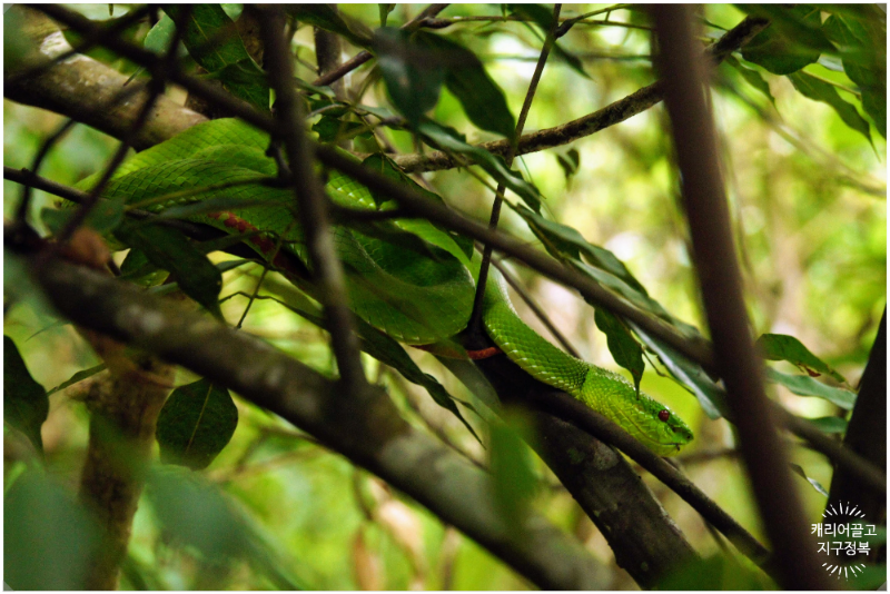 치앙마이 도이 인타논 국립공원