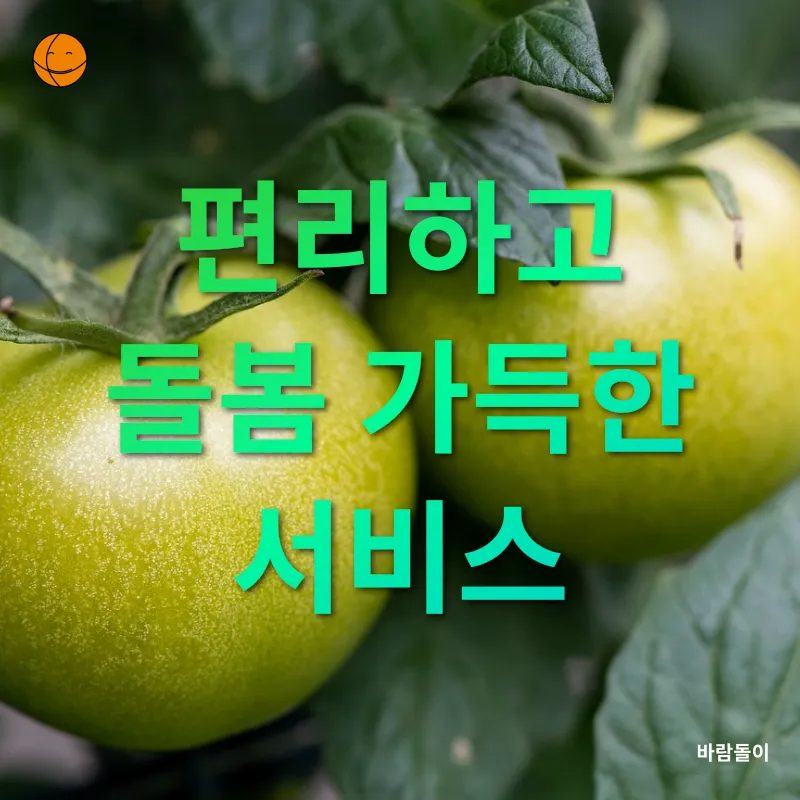 건강한 직장 도시락_2
