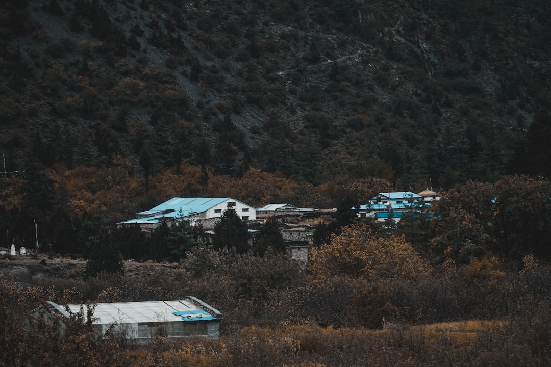 민생회복 소비쿠폰 신청방법&middot;사용처 총정리