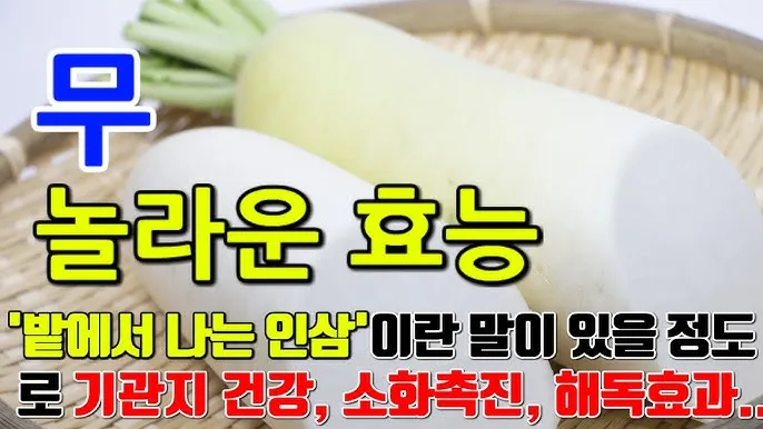 무우 효능 부작용 섭취 방법_9