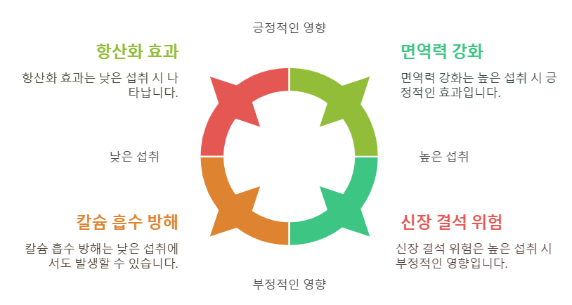 옥살산의 건강 영향 균형