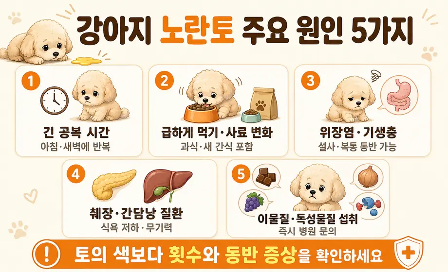 강아지 노란토 주요 원인 5가지인 긴 공복, 사료 변화, 위장염과 기생충, 췌장&middot;간담낭 질환, 이물질&middot;독성물질 섭취 비교