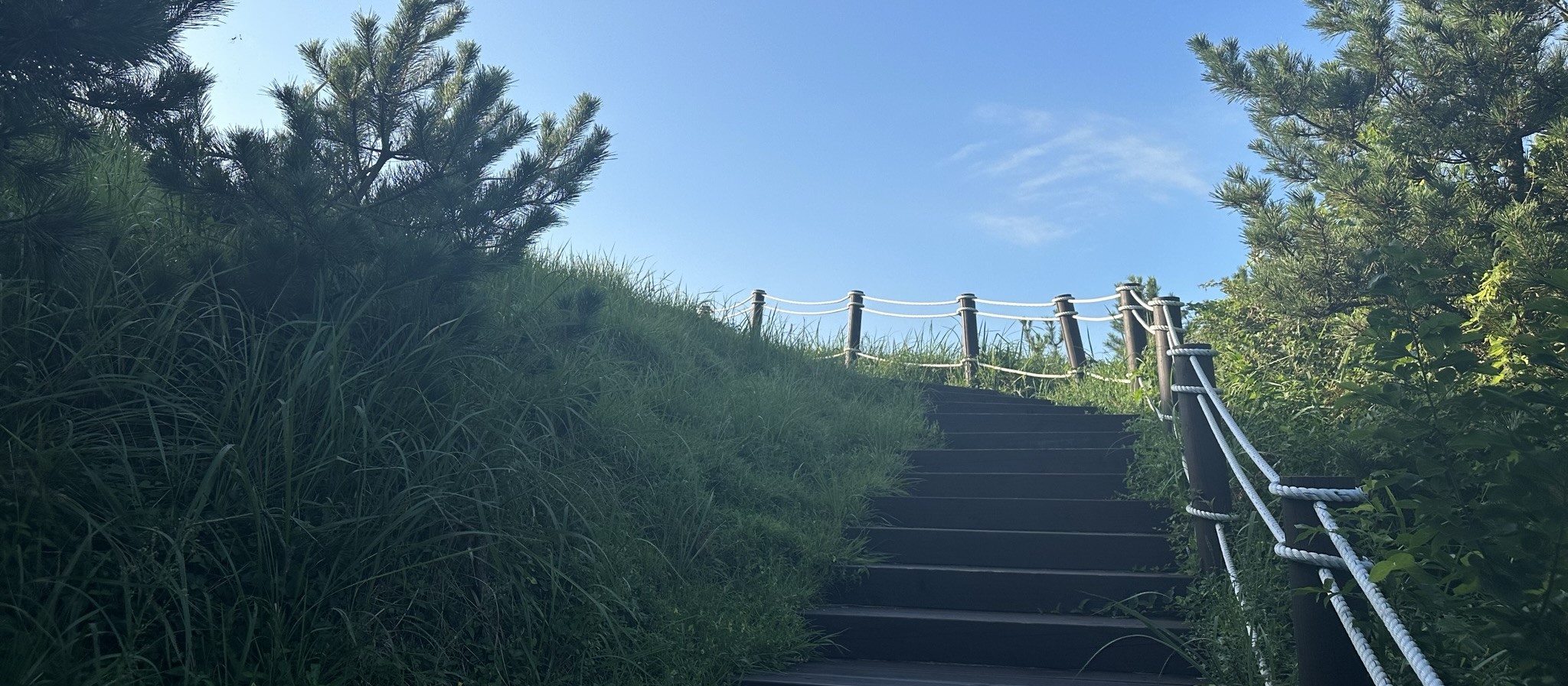 오름 산책로