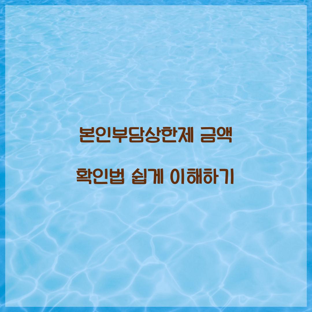 본인부담상한제 금액