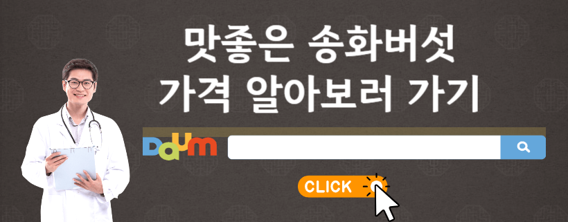 송화버섯 구매