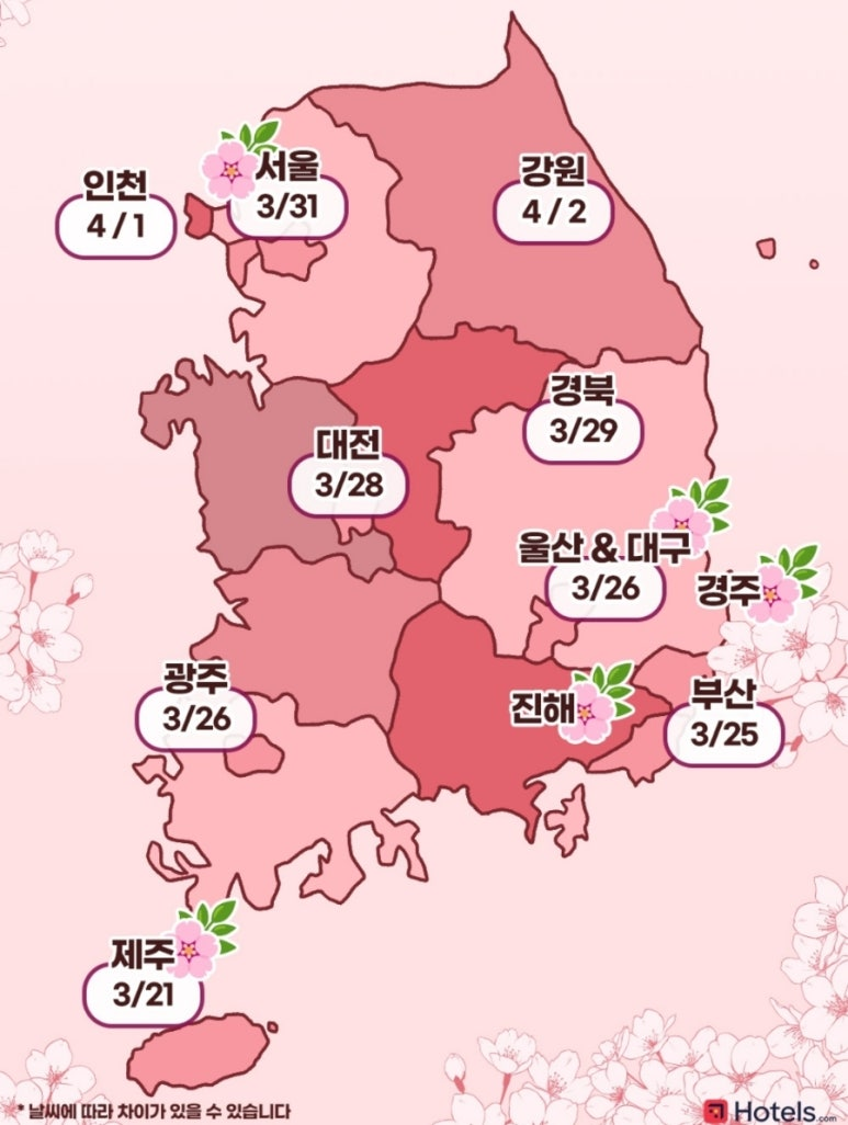벚꽃 개화지도