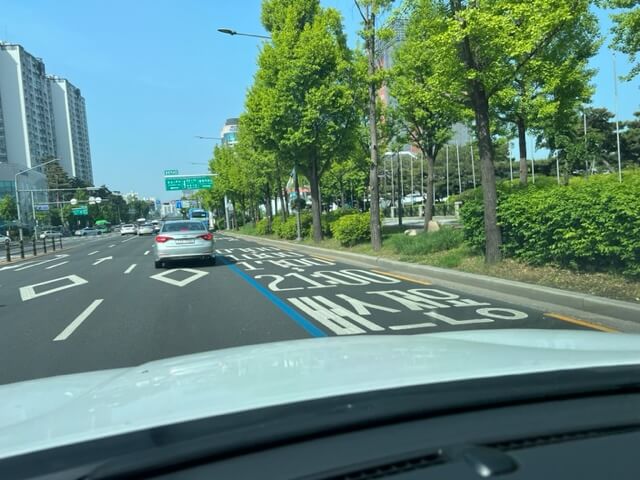 버스전용차로-실선
