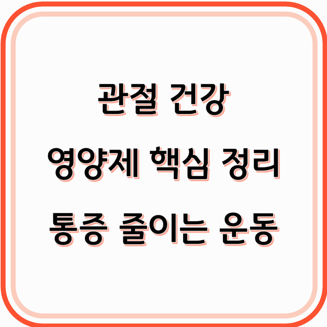 관절 건강, 영양제가 답일까 꼭 알아야 할 핵심 정리