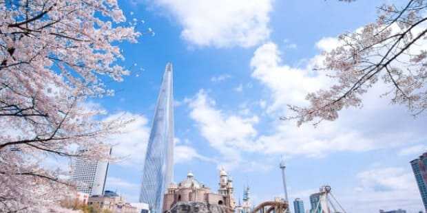 2025 석촌호수 벚꽃축제