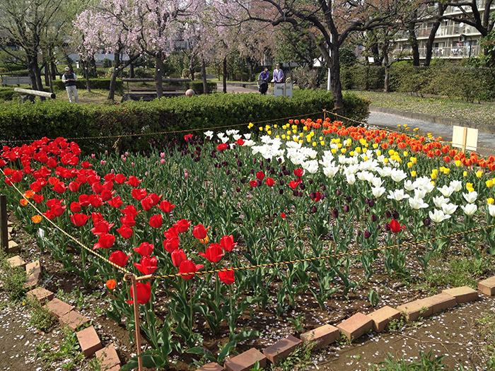 일본-유학-후기-2편
