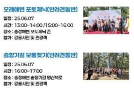 강릉해양레저 펫가족 힐링페스티벌