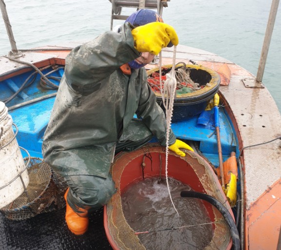 6시내고향 장흥 낙지부부 귀어