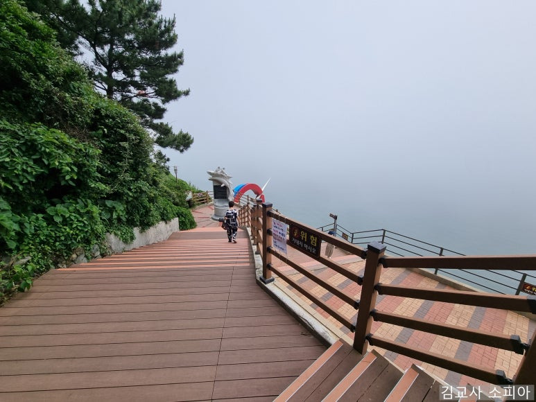 부산 태종대 폭염 여행 리얼후기🌊 여름 필수템 8가지 추천