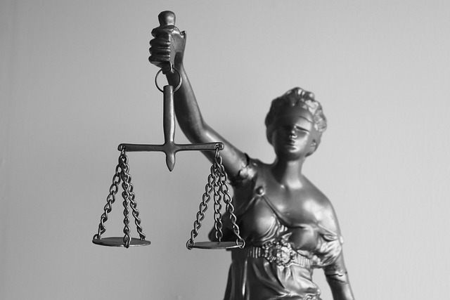 서초동 어쏘 변호사 뜻 관련 이미지