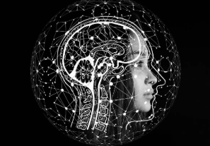 ‘습관 앱’ 중독자들: 루틴을 관리하다 루틴에 먹히는 사람들