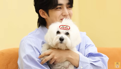 에스쿱스와-반려견