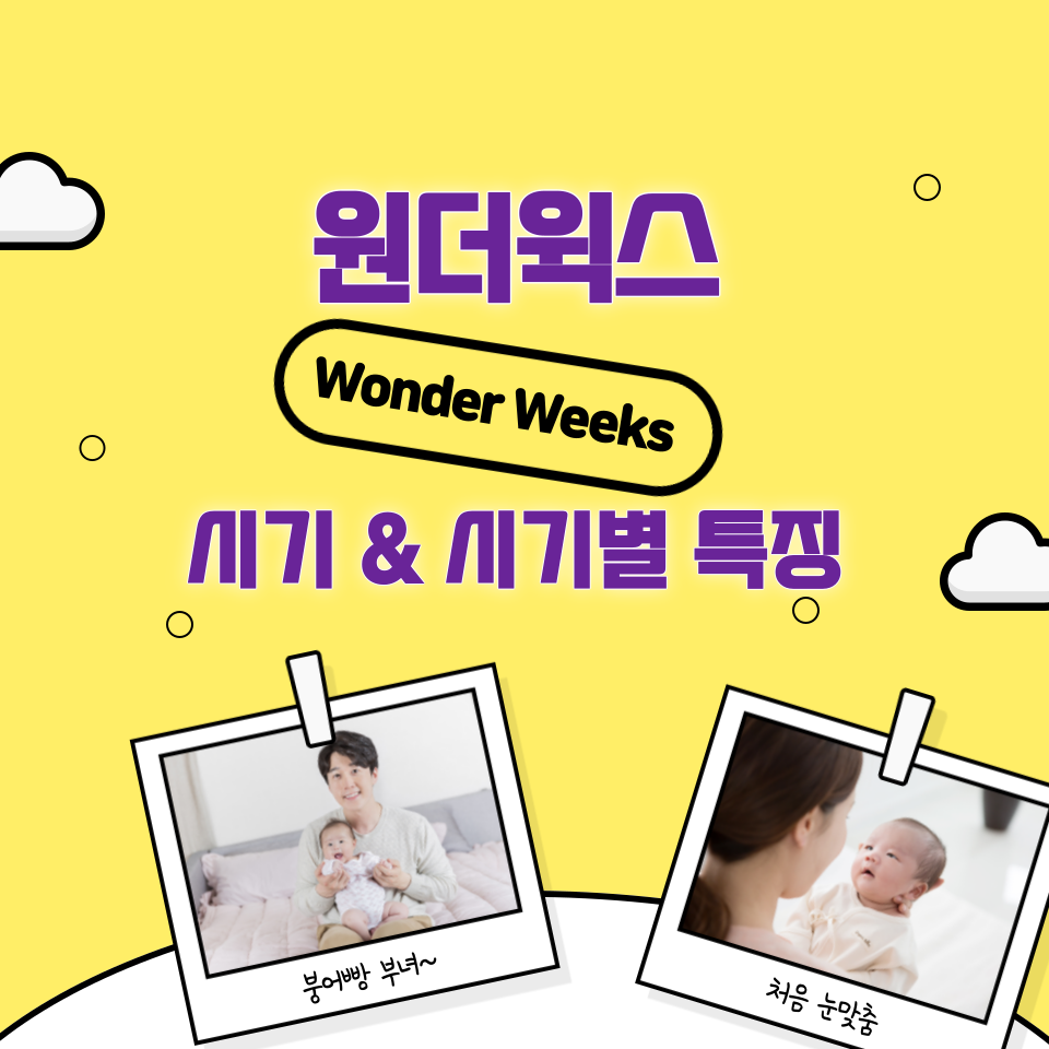 원더윅스 뜻