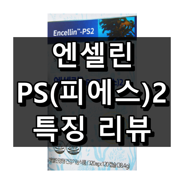 엔셀린-PS(피에스)2 대표이미지