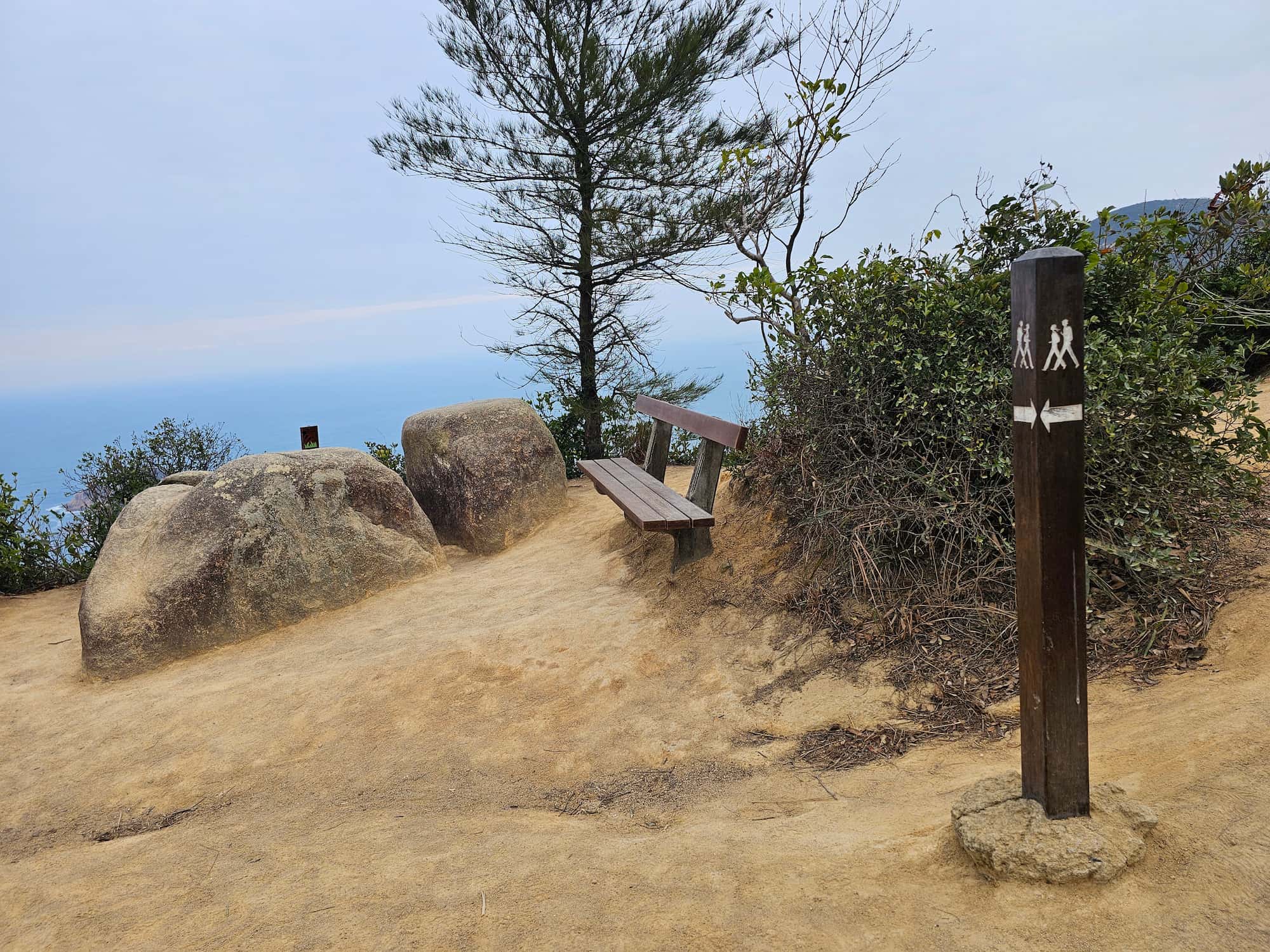 드래곤즈 백 후기